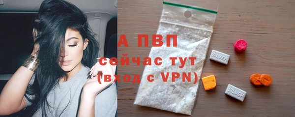 стафф Бронницы
