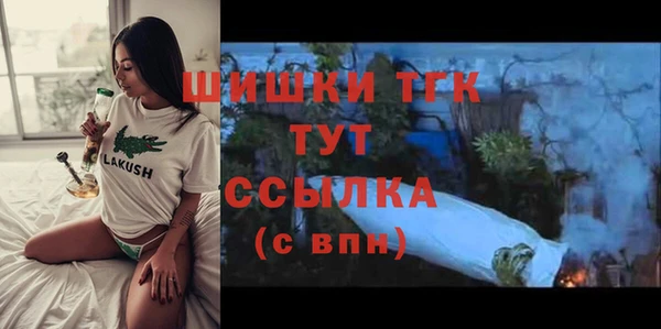стаф Верхний Тагил