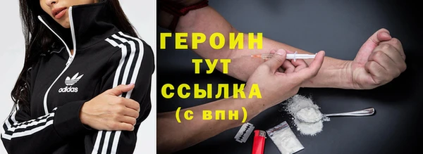 крисы Бородино