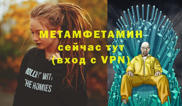 крисы Бородино