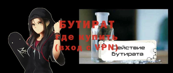 крисы Бородино