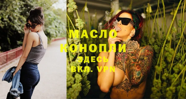 крисы Бородино