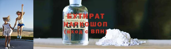 крисы Бородино