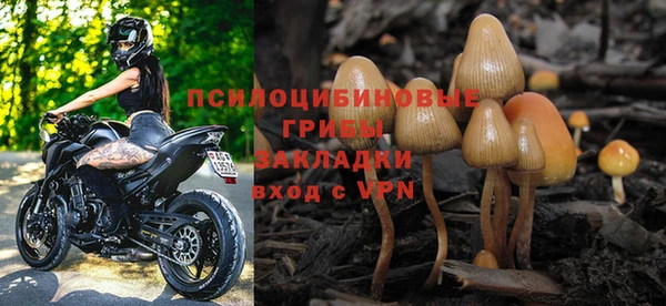 стафф Бронницы
