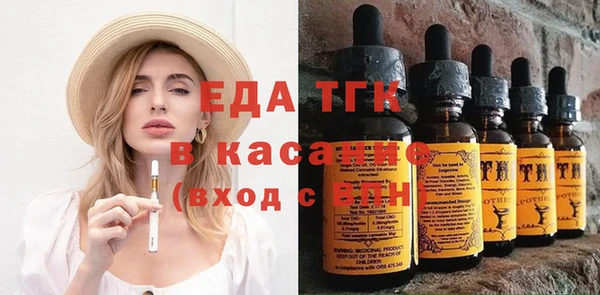 крисы Бородино