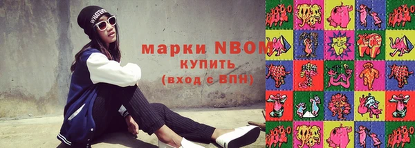 крисы Бородино