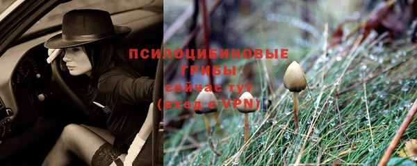 стафф Бронницы