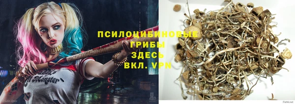 стаф Верхний Тагил