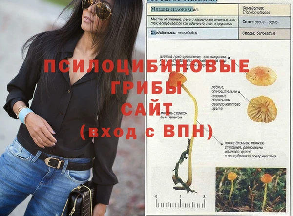 стафф Бронницы