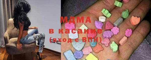 крисы Бородино