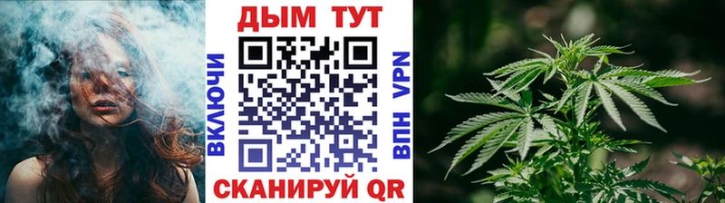 Конопля Bruce Banner  цена   Геленджик 